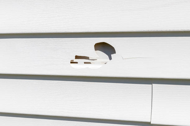 Siding Removal and Disposal in Palm Beach Gardens, FL